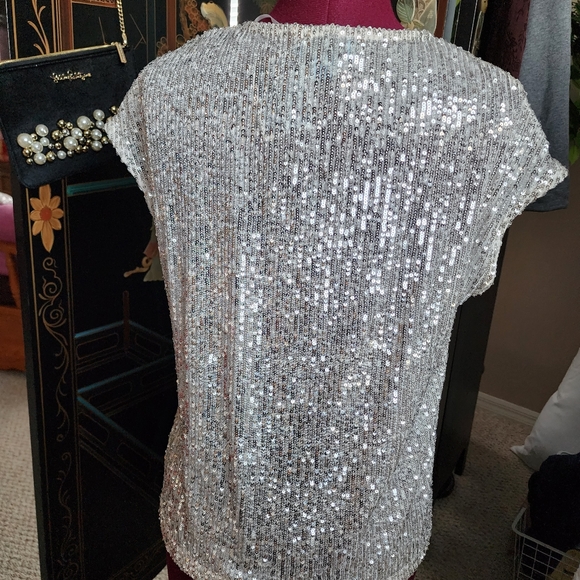 Cece Silver Sequin pant set - Picture 4 of 16